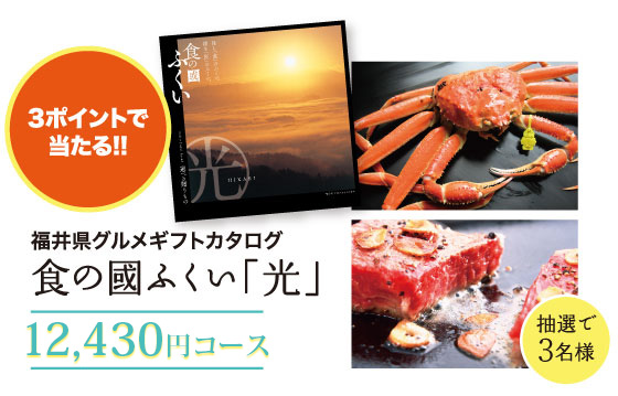 3ポイント 食の國ふくい「光」12,430円コース