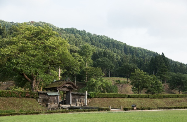  一乗谷朝倉氏遺跡 エリア