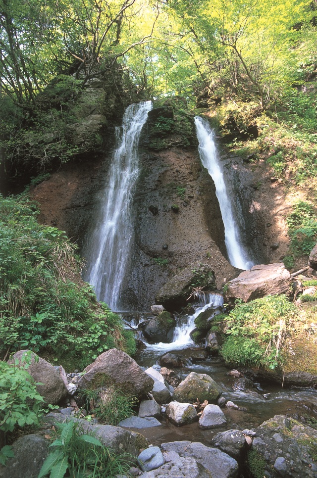  六呂師高原 エリア