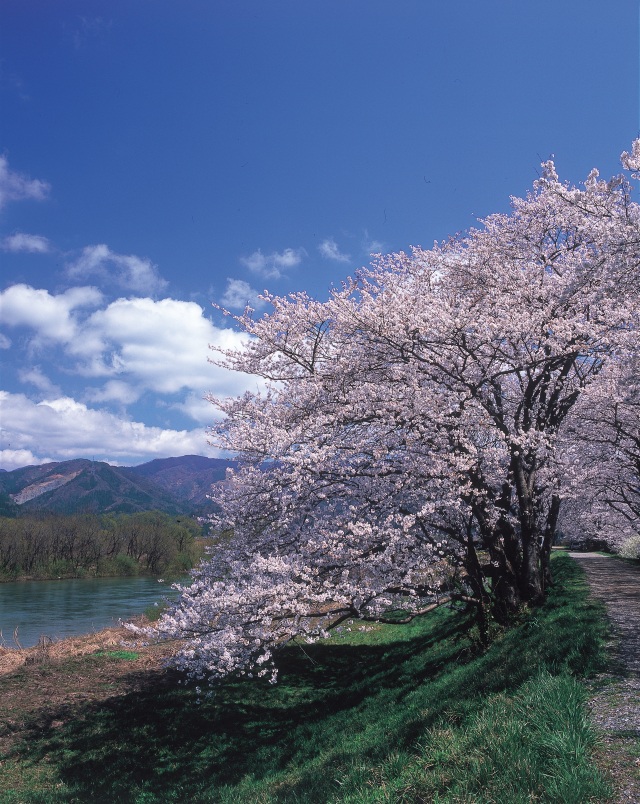  えちぜん鉄道 松岡駅 エリア