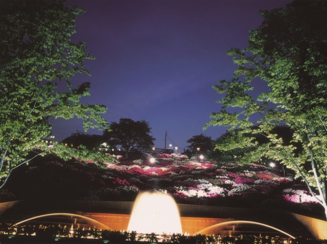  道の駅「西山公園」 エリア