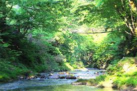 かずら橋 エリア