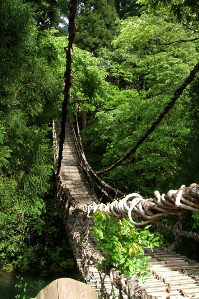  かずら橋 エリア