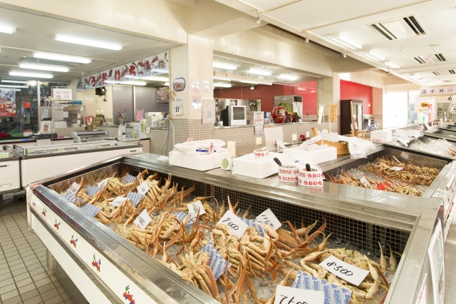  道の駅「越前」 エリア