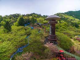  若州一滴文庫 エリア