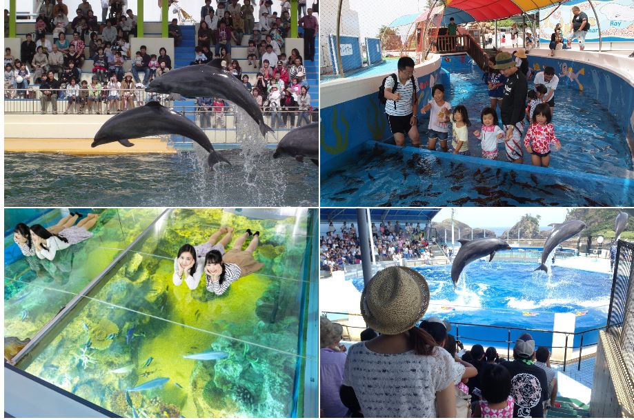 越前松島水族館 エリア
