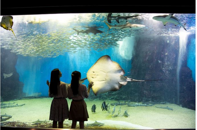  越前松島水族館 エリア