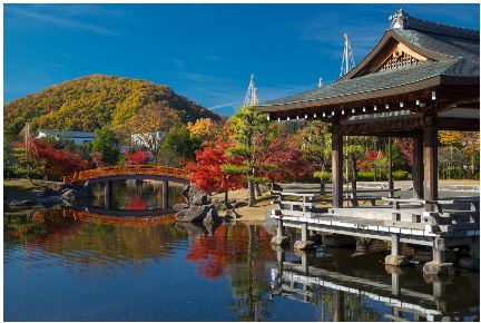  紫式部公園 エリア