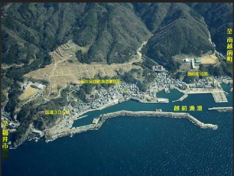 越前漁港 エリア