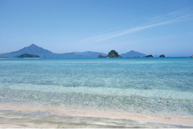 若狭和田 エリア